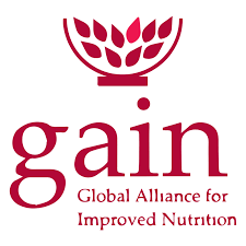 Finance Manager At Global Alliance for Improved Nutrition