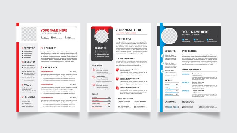 How To Select The Most Effective Resume Format - a series of different resume formats that can be used for a job application.